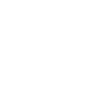Artefacta